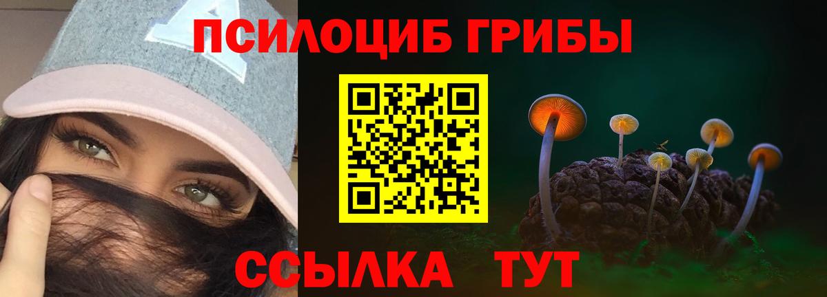 Солнечногорск  Галлюциногенные грибы Psilocybine cubensis  Вход с VPN 